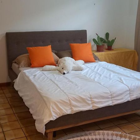 Sejour Chez L'Habitant Mpdf 누메아 외부 사진